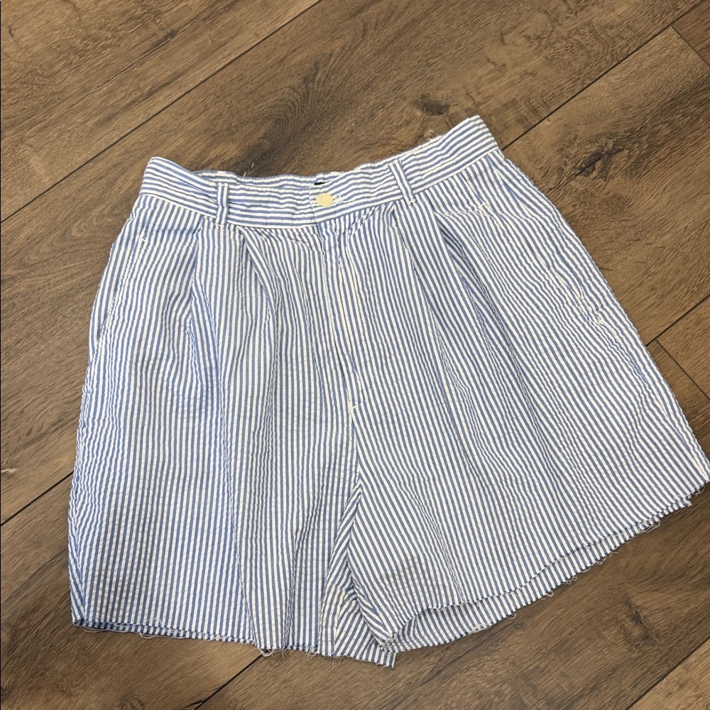 J. Crew Blue and White Striped Women's Shorts
